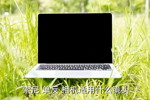 索尼單反相機官網中國官方網站,索尼單反相機有何不同?...